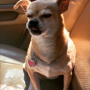 Meet your Posher, Roxy